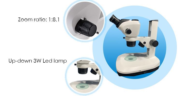 LED Trinocular Stereo Zoom Microscope for sale